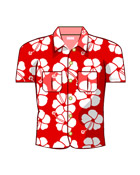 Aloha Shirt